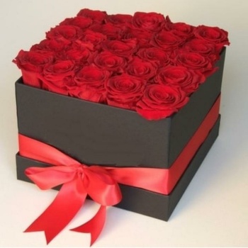 Red Roses Natalia Syria